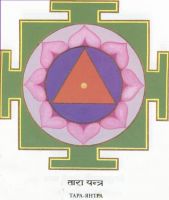 8_tara